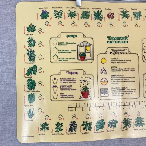 Vintage Tupperware Plant Care Sheet Plastic Mat 1977 Indoor Gardening Guide Mat - Picture 2 of 11